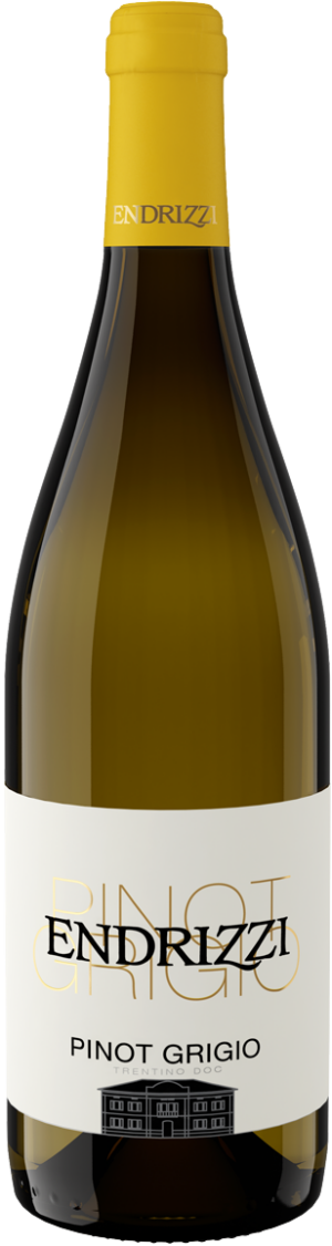 Pinot Grigio, Trentino DOC